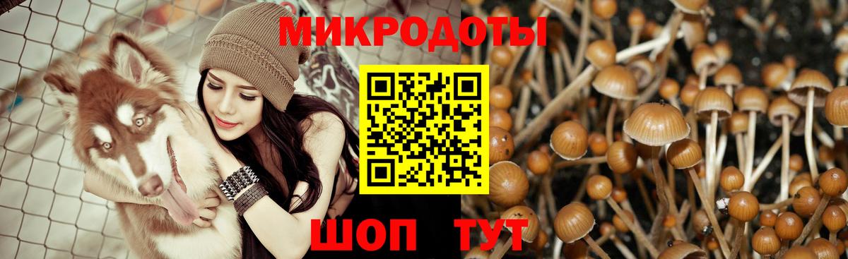 Новоалтайск  Псилоцибиновые грибы мицелий  Вход с VPN 